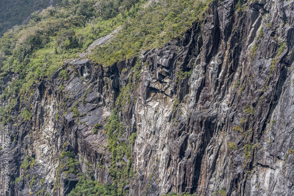 shining black rocks of cliff face and lush vegetation on fjord shore, Milford Sound, New Zealand shining black rocks of cliff face and lush vegetation on fjord shore, Milford Sound, New Zealand