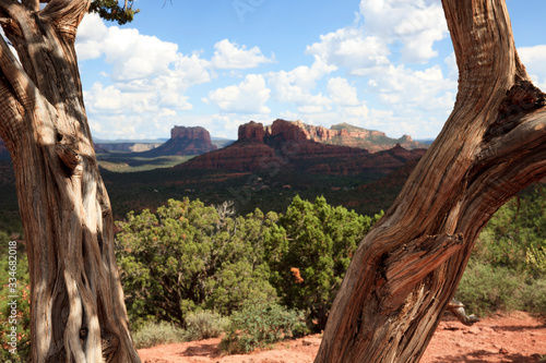 Sedona, Arizona / USA - August 01, 2015: Arizona landscape near Sedona, Sedona, Arizona, USA