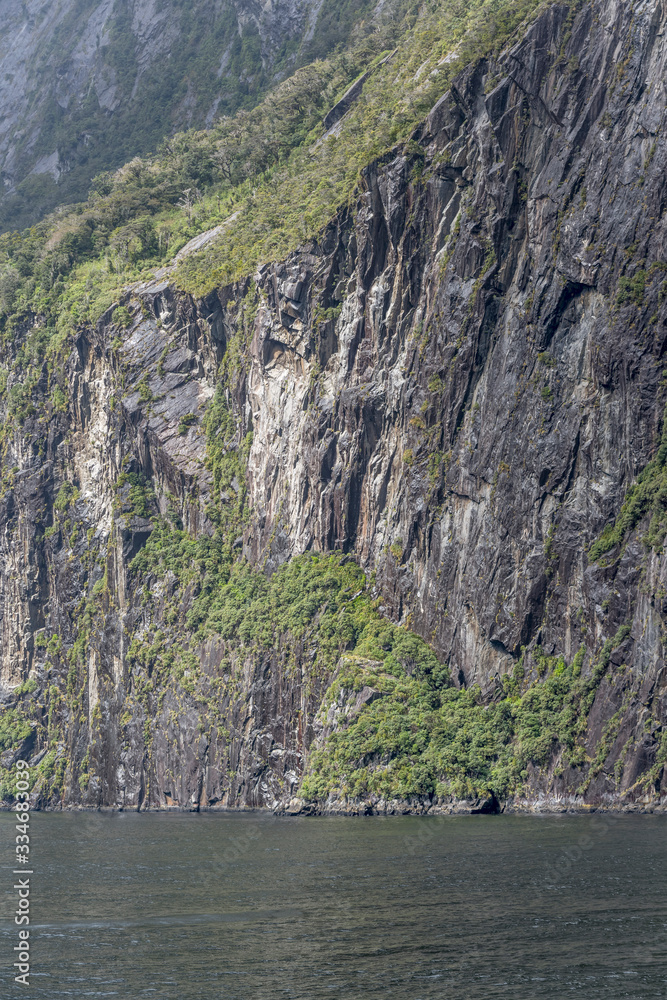 shining black rocks of steep cliff and lush vegetation on fjord shore,  Milford Sound, New Zealand