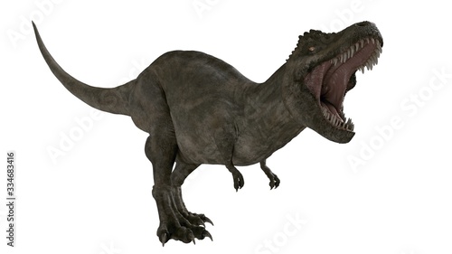3d rendered t-rex tyrannosaurus rex © triduza