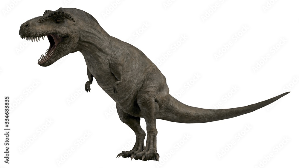 Fototapeta premium 3d rendered t-rex tyrannosaurus rex