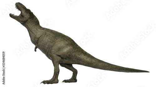3d rendered t-rex tyrannosaurus rex © triduza