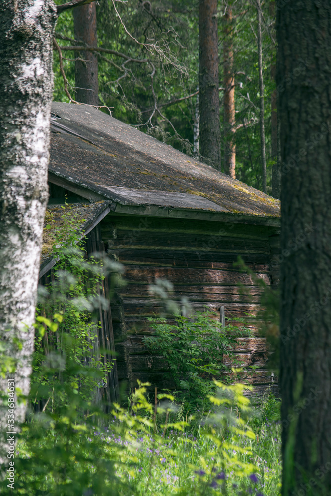 old wooden house in the forest