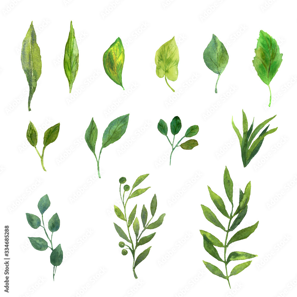 A set with watercolor green leaves on a white background. Decorative template for postcards, invitations, packaging, textiles. A set with watercolor green leaves on a white background. Decorative template for postcards, invitations, packaging, textiles.
