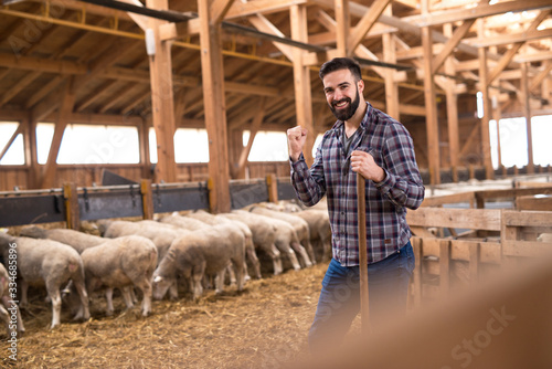 Successful farming and cattle breeding. Portrait of successful caucasian farmer cattleman proudly standing in sheep barn and holding fist up. In background cattle eating and standing. photo