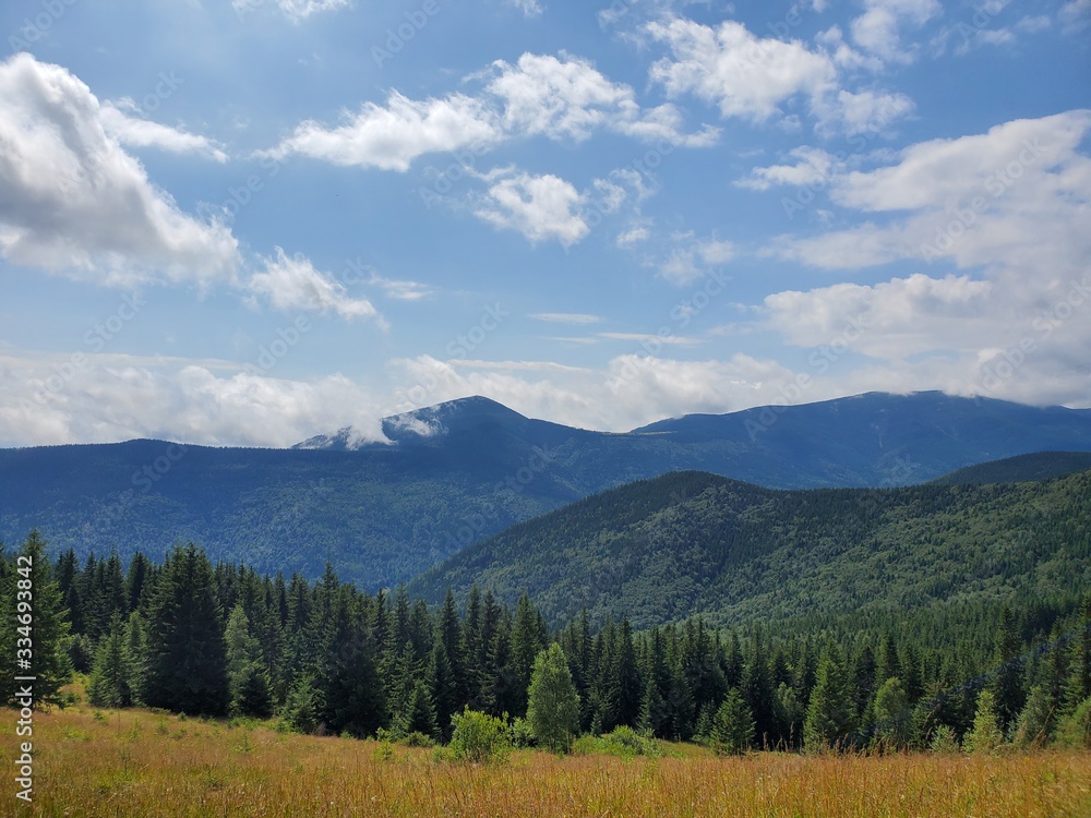 A beautiful scenery of Carpathian mountains with small houses, trees, fields, and roads in the summertime.