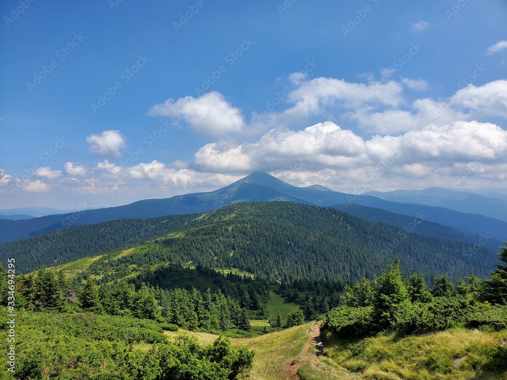 A beautiful scenery of Carpathian mountains with small houses, trees, fields, and roads in the summertime.