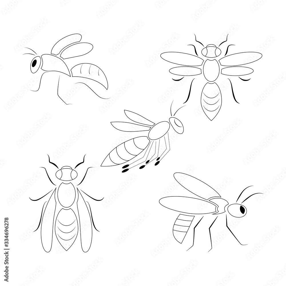 Icon set of 5 wasps.Vector illustration. Icon set of 5 wasps.Vector illustration.