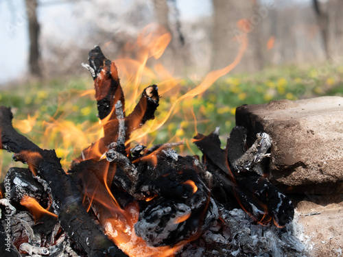 Bonfire on a picnic in spring