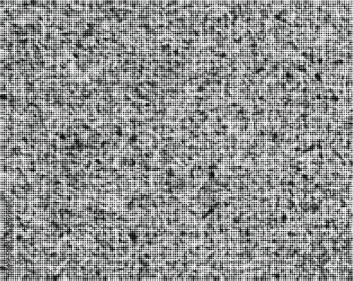 Natural linen material textile canvas texture background