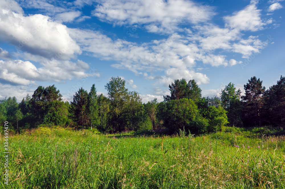 Summer landscape green meadow with blooming herbs on a background of forest and cloudy blue sky.