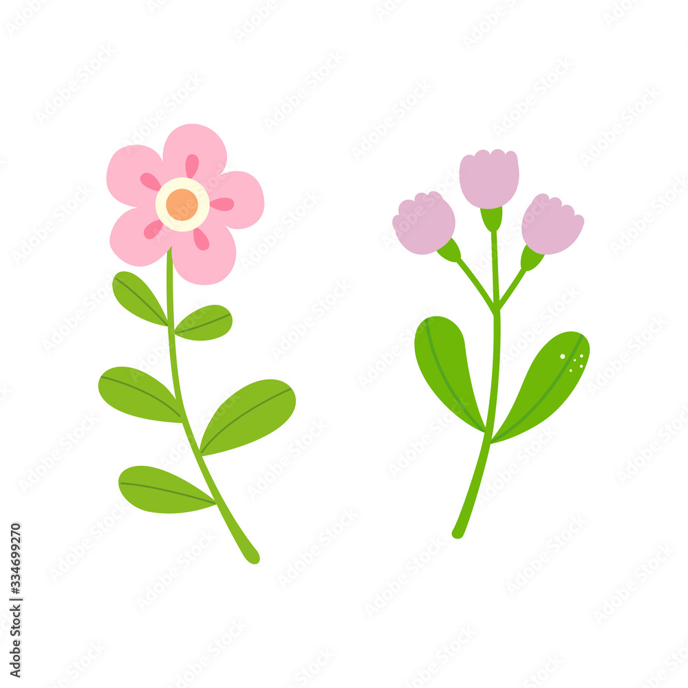 Cute flowers isolated on white background
