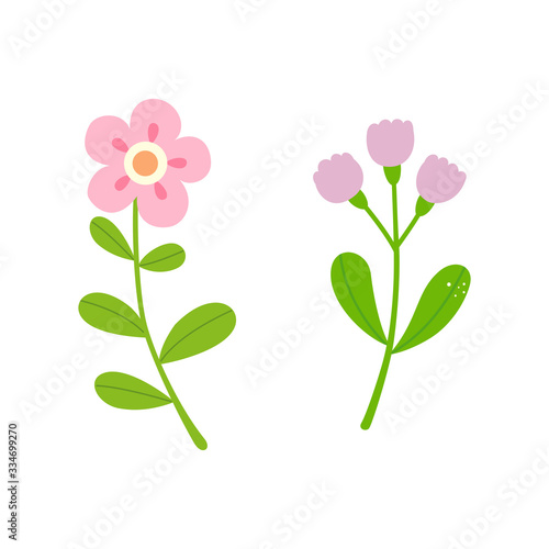 Cute flowers isolated on white background