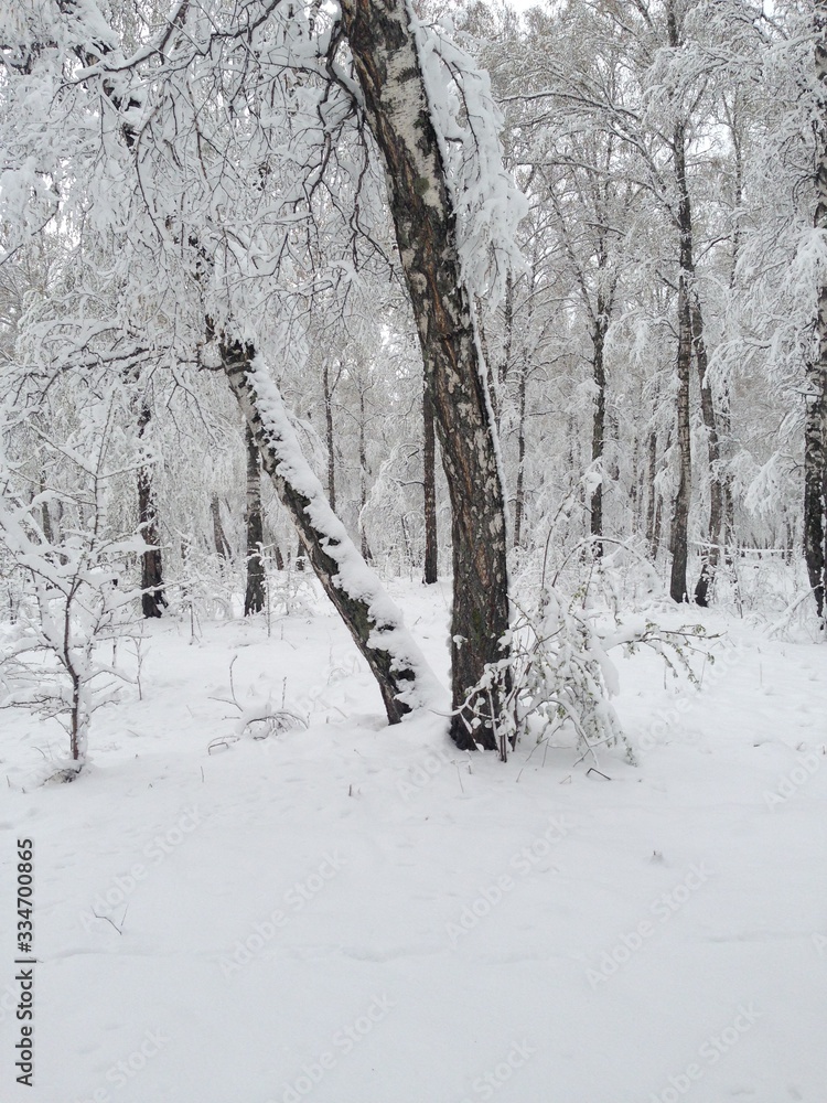 Fototapeta premium russian winter