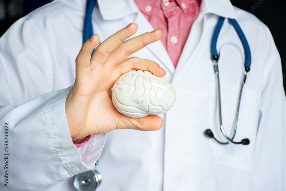 General practitioner or neurologist holding anatomical model of human brain. Concept photo in neurology, psychiatry, psychotherapy, psychology, diagnosis of brain diseases and mental illnesses General practitioner or neurologist holding anatomical model of human brain. Concept photo in neurology, psychiatry, psychotherapy, psychology, diagnosis of brain diseases and mental illnesses