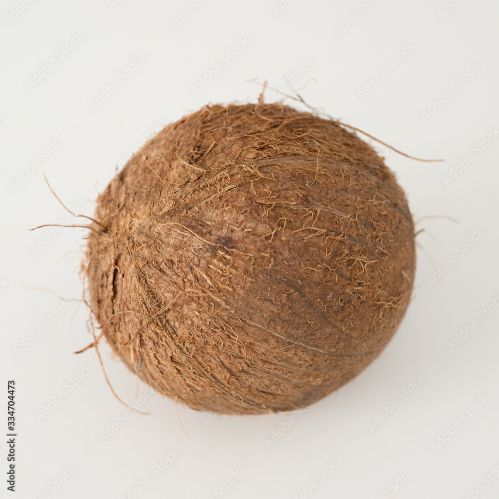 Whole Coconut on a white background Whole Coconut on a white background