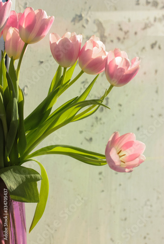 Fototapeta Naklejka Na Ścianę i Meble -  Bouquet of pink tulips in a vase