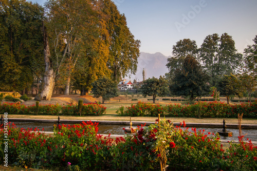 autumn season in Kashmir garden