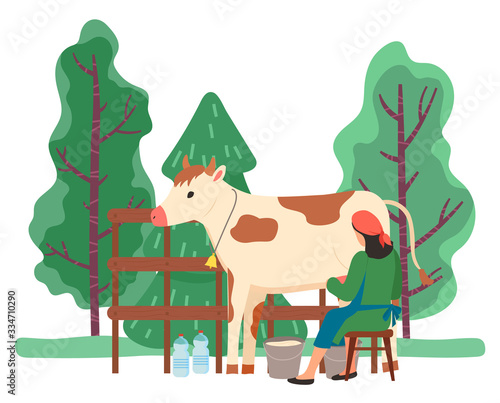 Milkmaid on warm milking cow using buckets and bottles as container. Farming personage in farm. Nature of rural area with trees and greenery. Diary products production process, vector in flat style