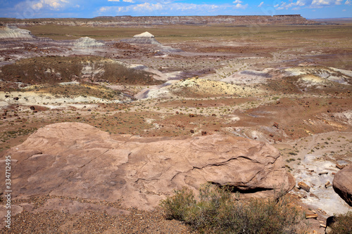 Arizona / USA - August 01, 2015: Landscape at Petrified Forest National Park, Arizona, USA