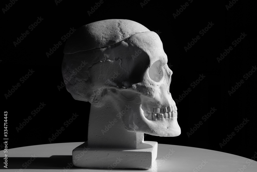 Side view of gypsum model of the human skull on black background with clipping path. Concept of terror, physiology learning Side view of gypsum model of the human skull on black background with clipping path. Concept of terror, physiology learning