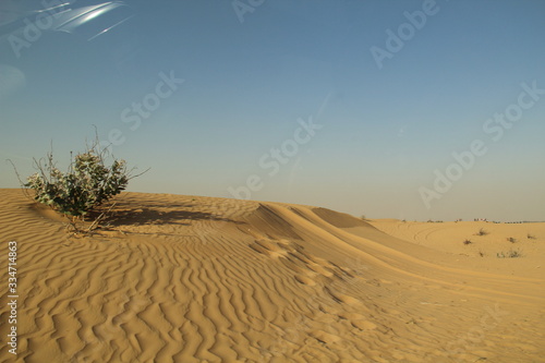 Dubai  desert