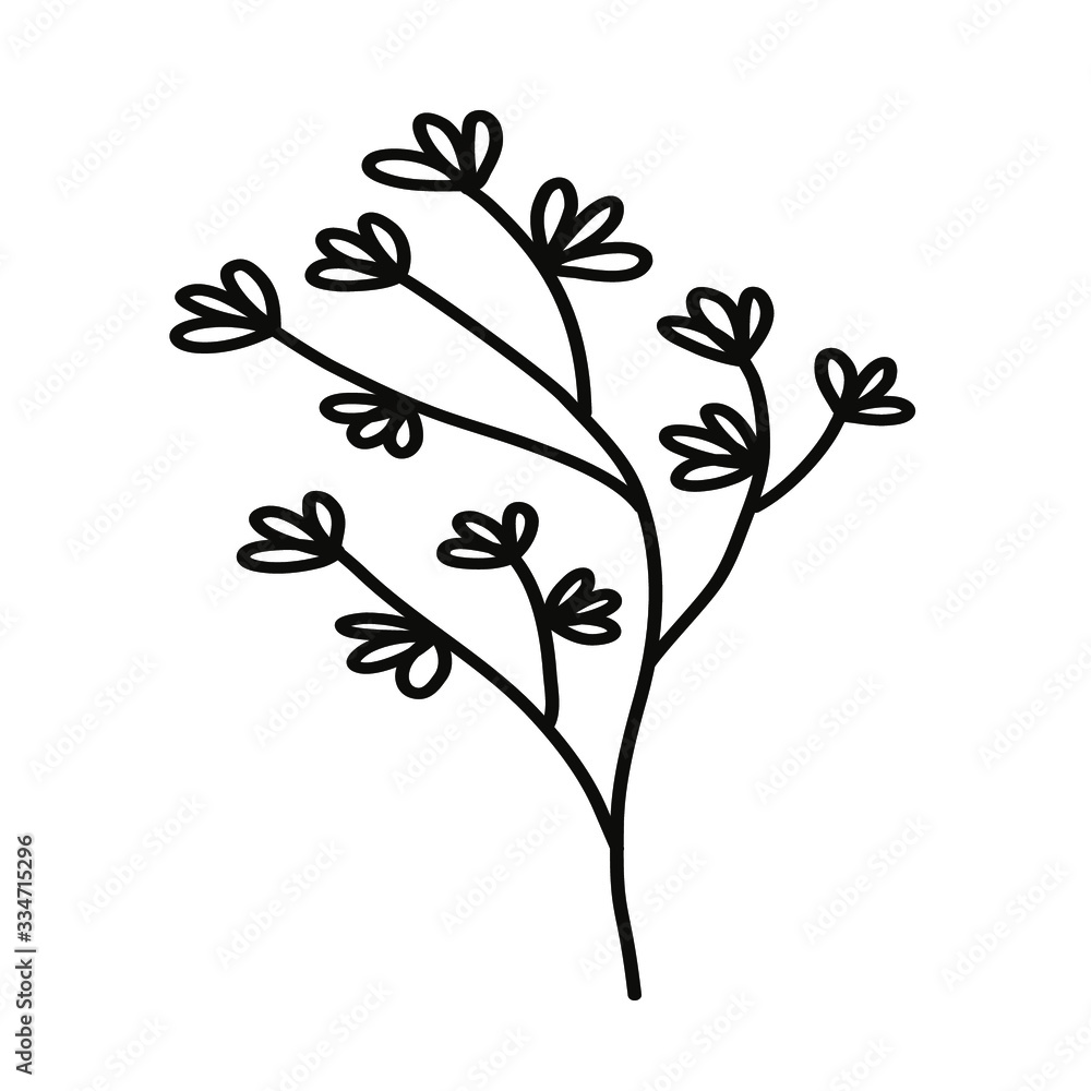 Wild flower on a white background. Simple vector illustration.