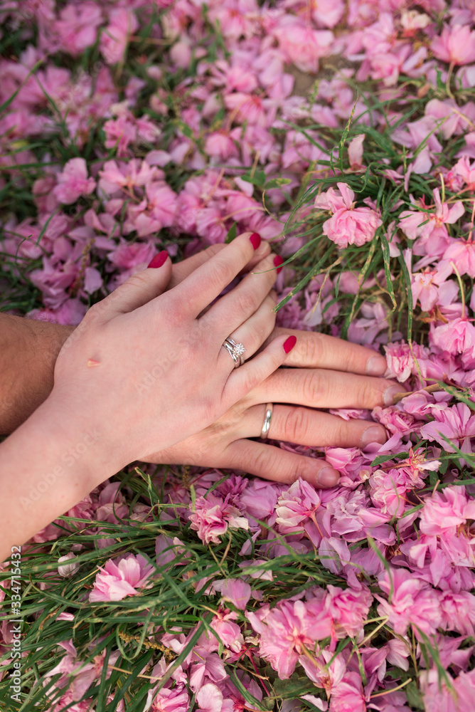 Hands of the bride and groom with engagement rings lie on sakura petals Hands of the bride and groom with engagement rings lie on sakura petals