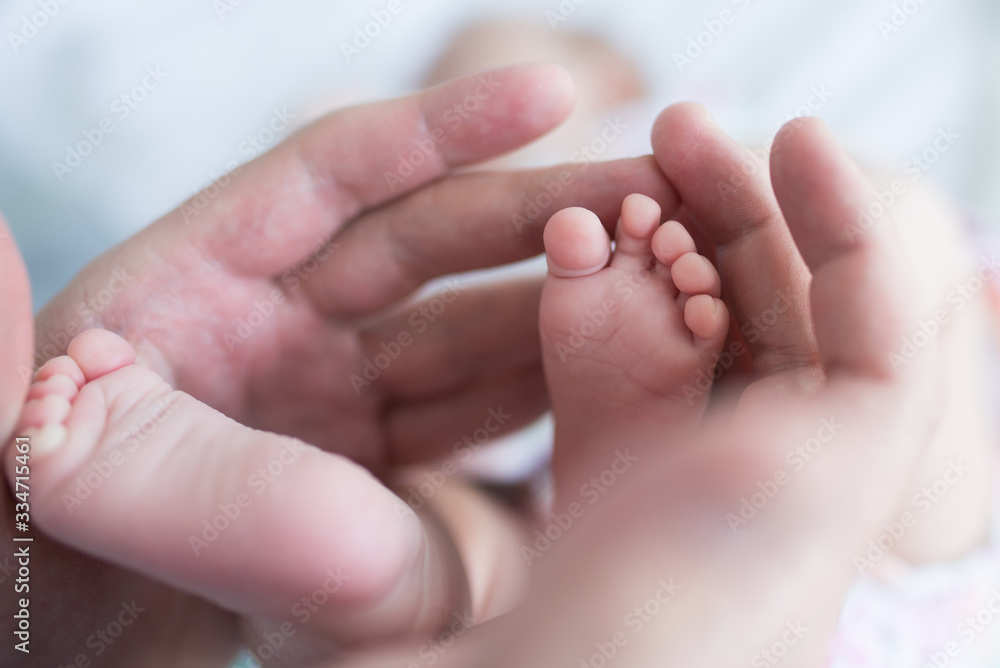 Baby feet in father's hands Baby feet in father's hands