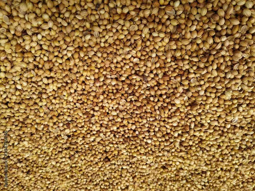Dried coriander seeds arranged as background. Dhaniya Nepal Dried coriander seeds arranged as background. Dhaniya Nepal