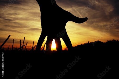 silhouette of hand in sunset
