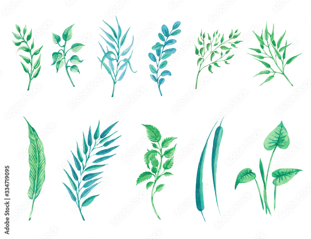 Green leaves Green leaves