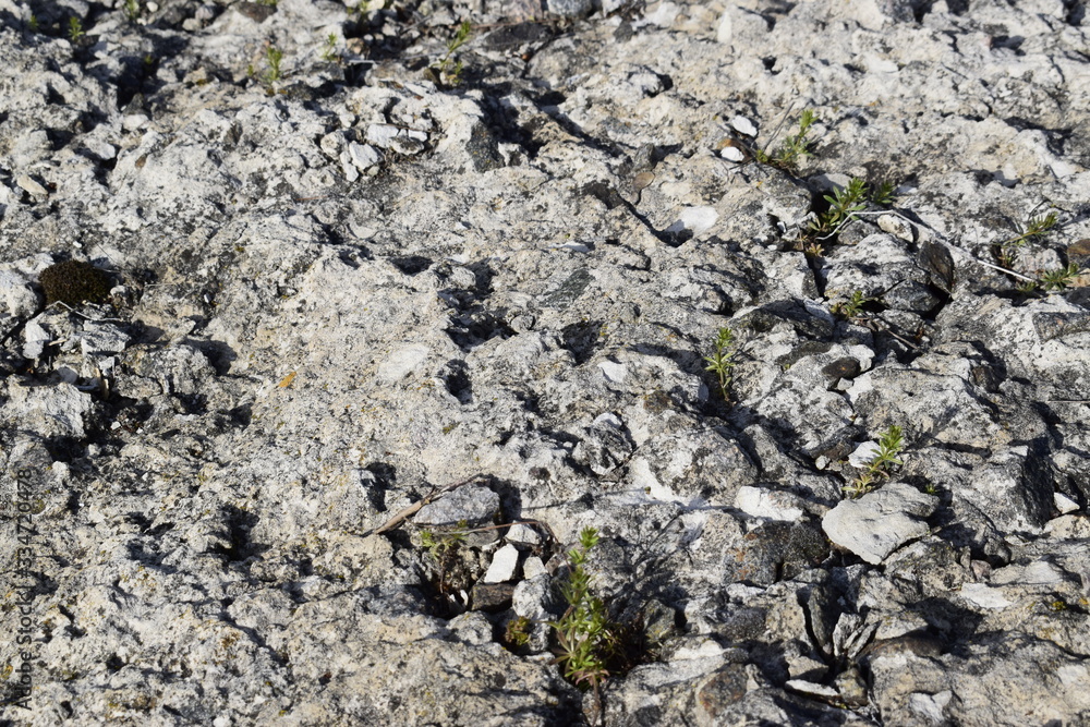 The surface and texture of the destroyed concrete slab. The surface and texture of the destroyed concrete slab.