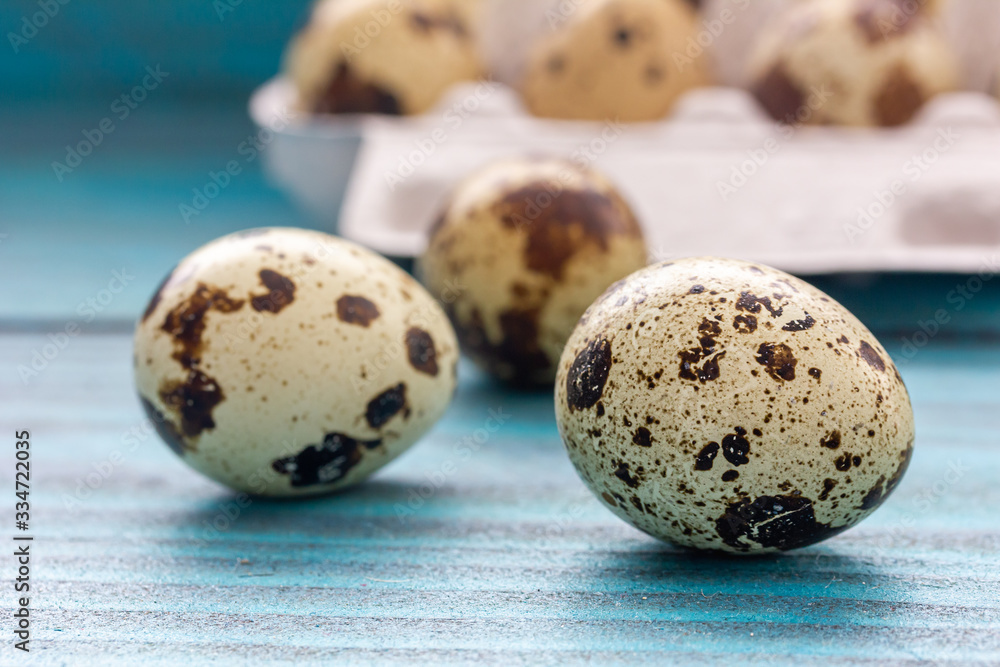 Fototapeta premium Wachteleier in einer Eierbox vor Holzhintergrund in Blau