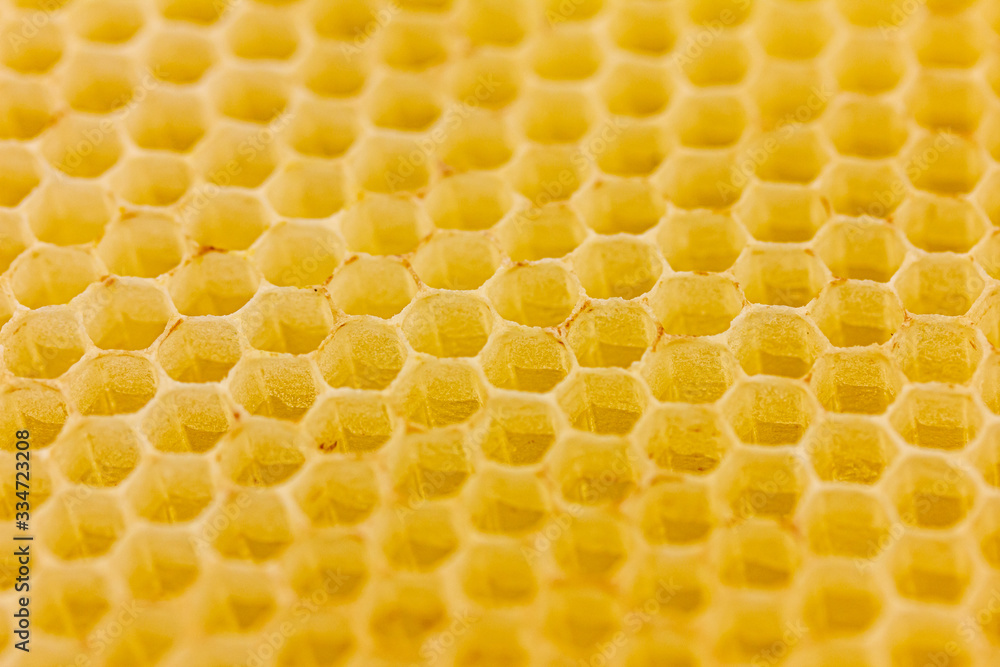 Nahaufnahme von einer Honigwabe mit Honig
