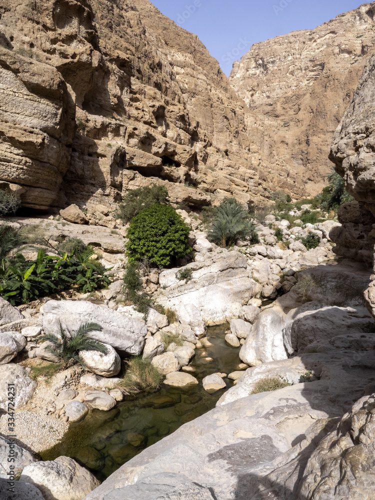 Wadi Shab, beautiful scenery, high rocks, stream with clear water. Oman Wadi Shab, beautiful scenery, high rocks, stream with clear water. Oman