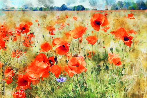 Watercolor painting of poppy field at havelland geion in germany. photo