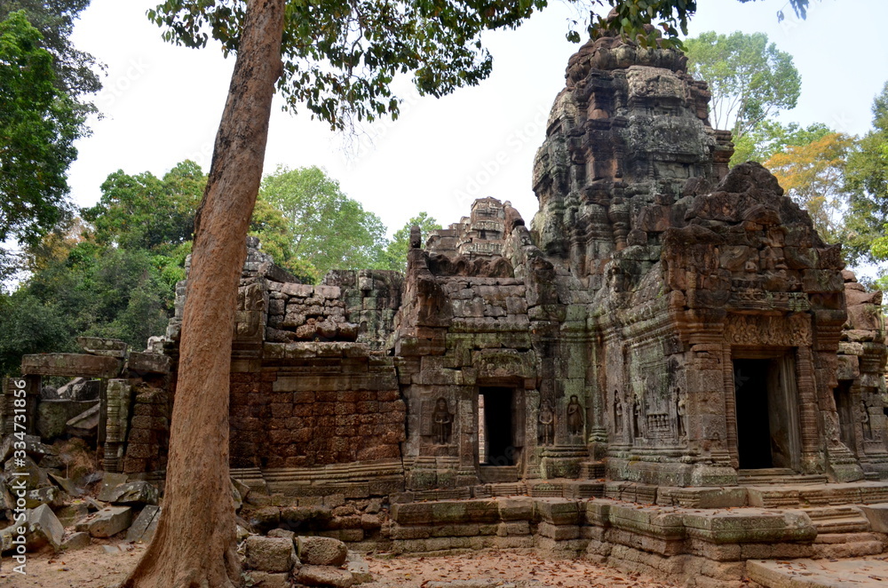 A big tree next to ancient ruins of Angkor Wat , Cambodia A big tree next to ancient ruins of Angkor Wat , Cambodia