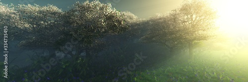 Spring landscape, Flowering trees in the sun at sunrise, garden of flowering trees in the morning in the fog, the park is blooming in the haze, © ustas