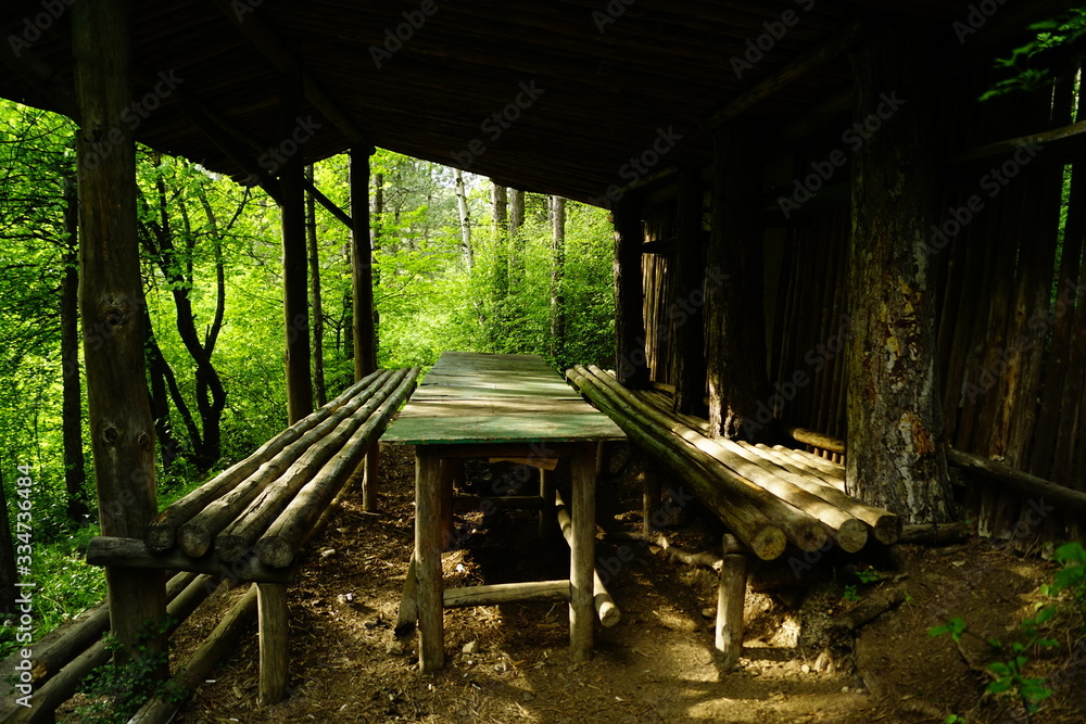 old wooden canopy in the forest