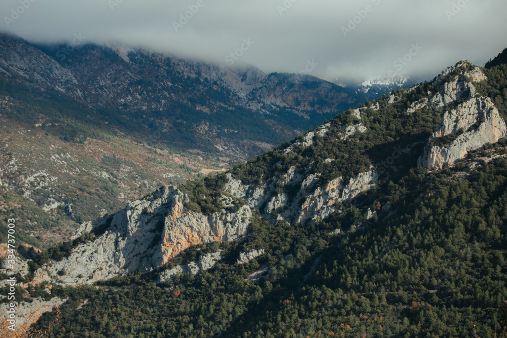 Rocky mountains and green vegetation in Catalan Pyrenees, Spain