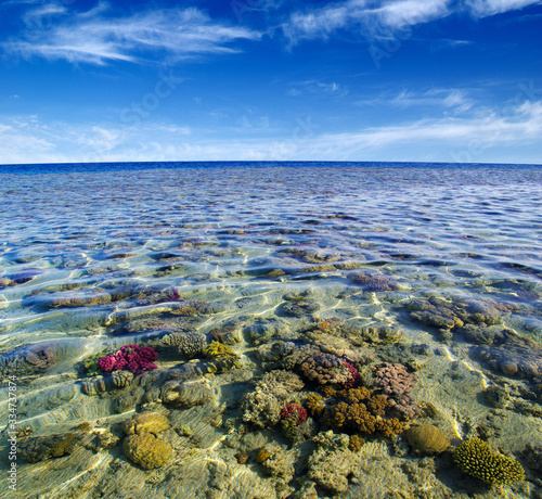 Wallpaper Mural Red sea coral reef and sky. Torontodigital.ca