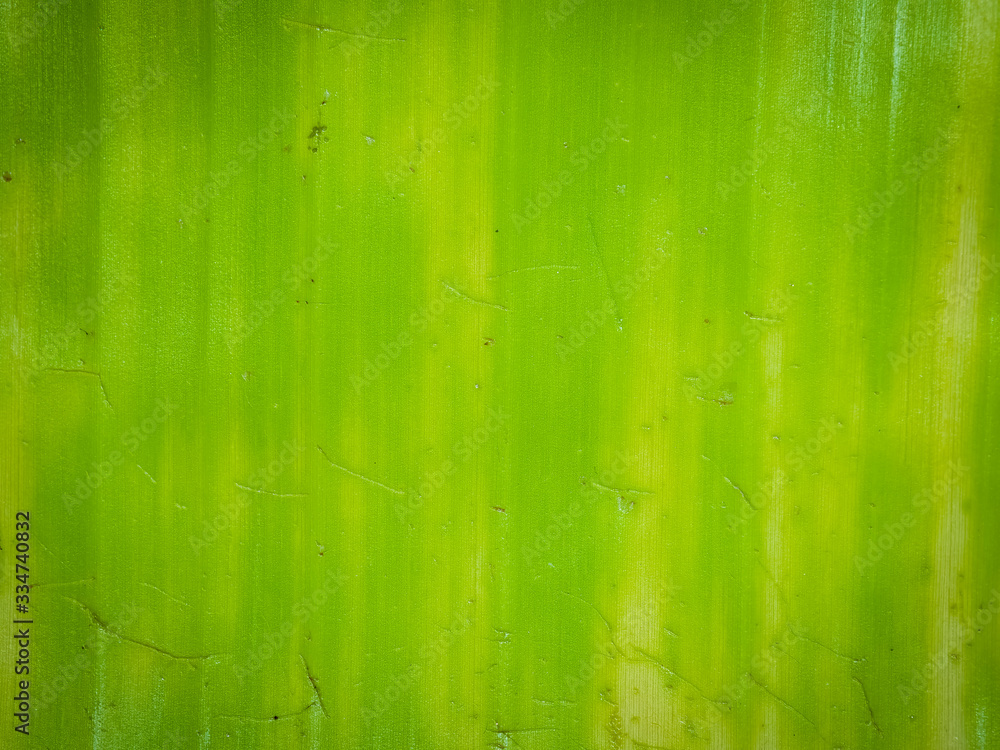 Obraz premium OLYMPUS DIGITAL CAMERA