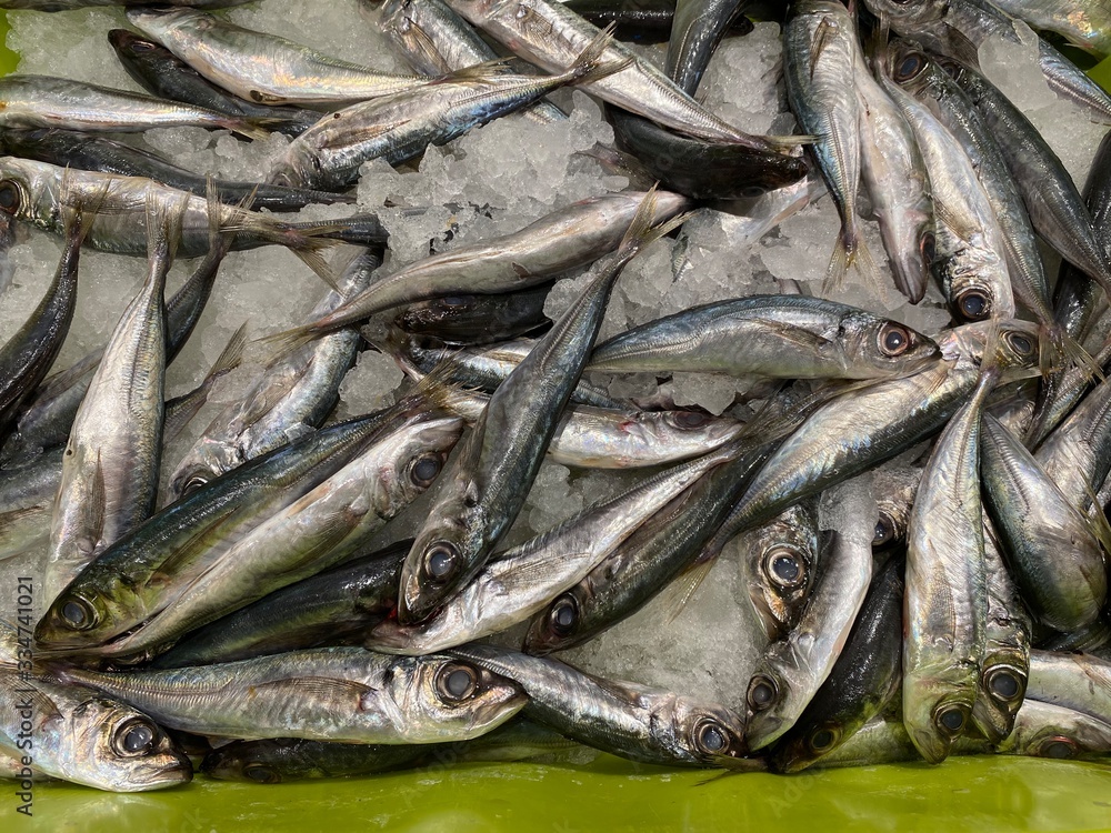 Obraz premium fresh sea fish ready for sale