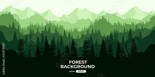 Seamless forest landscape. Colorful silhouette with trees, pines, firs, mountains and hills. Layered background with parallax effect. Flat style vector illustration. Simple cartoon design.