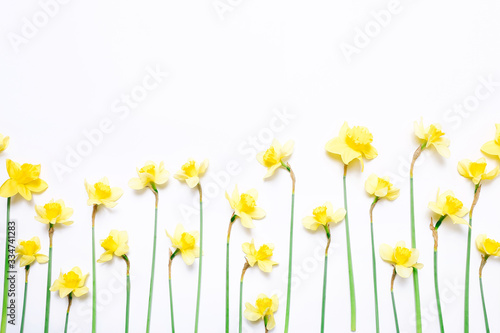 Fototapeta Naklejka Na Ścianę i Meble -  Flowers composition. Spring narcissus flowers on white background.