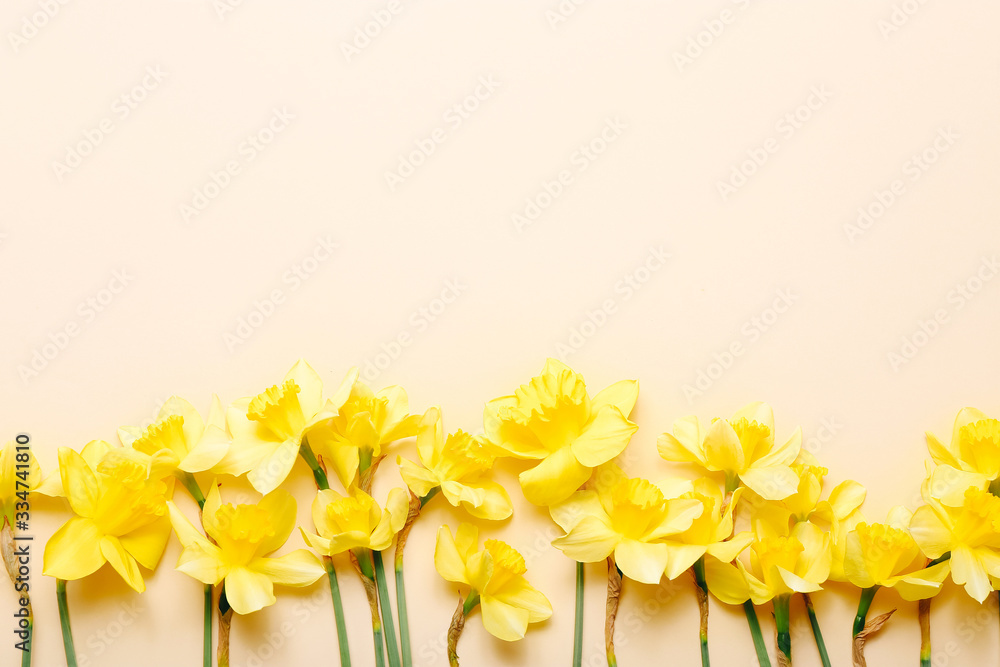 Spring narcissus flowers on color background. Top view