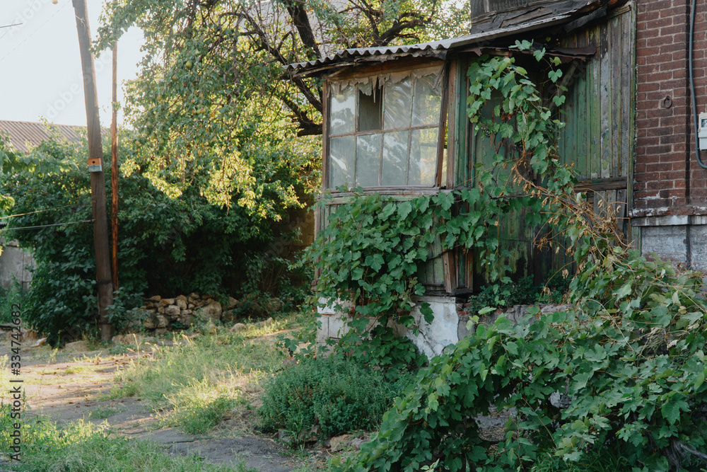old abandoned house covered with grapes. Old balcony old abandoned house covered with grapes. Old balcony