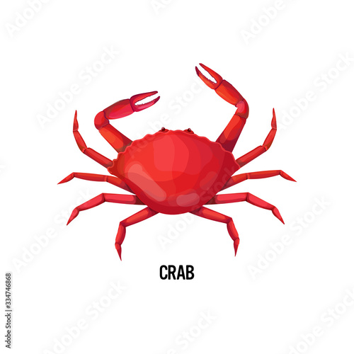 fresh crab isolated on white background seafood concept vector illustration