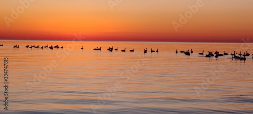 sunruse beach ocean water calm